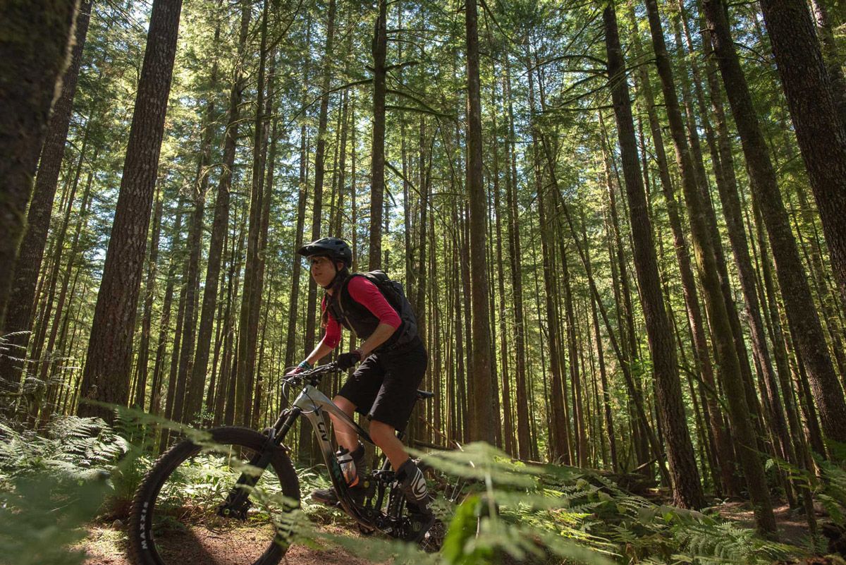 MTB de la Mujer 20231. Estas son las bicis oficiales detalle MTB de la Mujer 20231. Estas son las bicis oficiales detalle