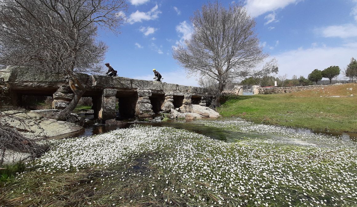 Ruta. Puente del Congosto, Salamanca
