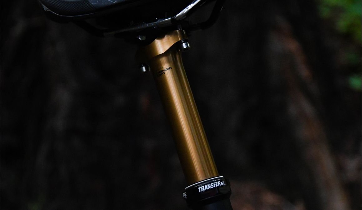 Nueva Fox Transfer SL 2022