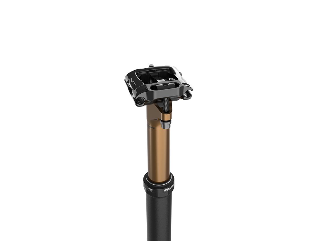 Nueva Fox Transfer SL 2022 4