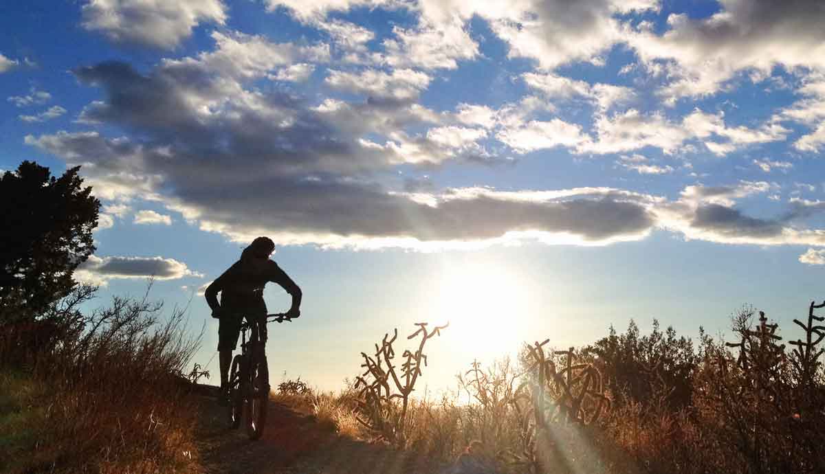 Ningún imprevisto en tus salidas: los mejores seguros para mountain bike