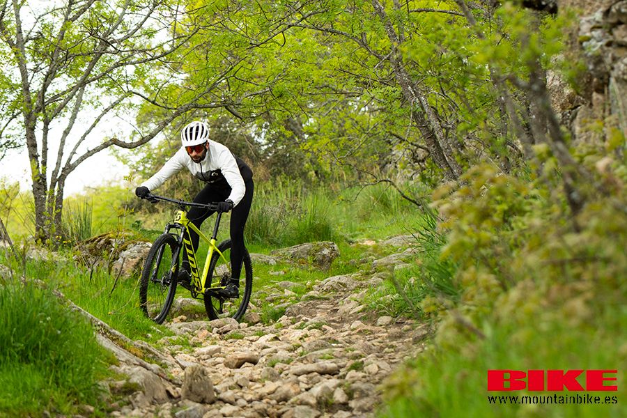 Acción Scott Scale 980 (24)