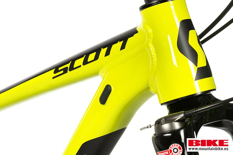 Estudio Scott Scale (13)