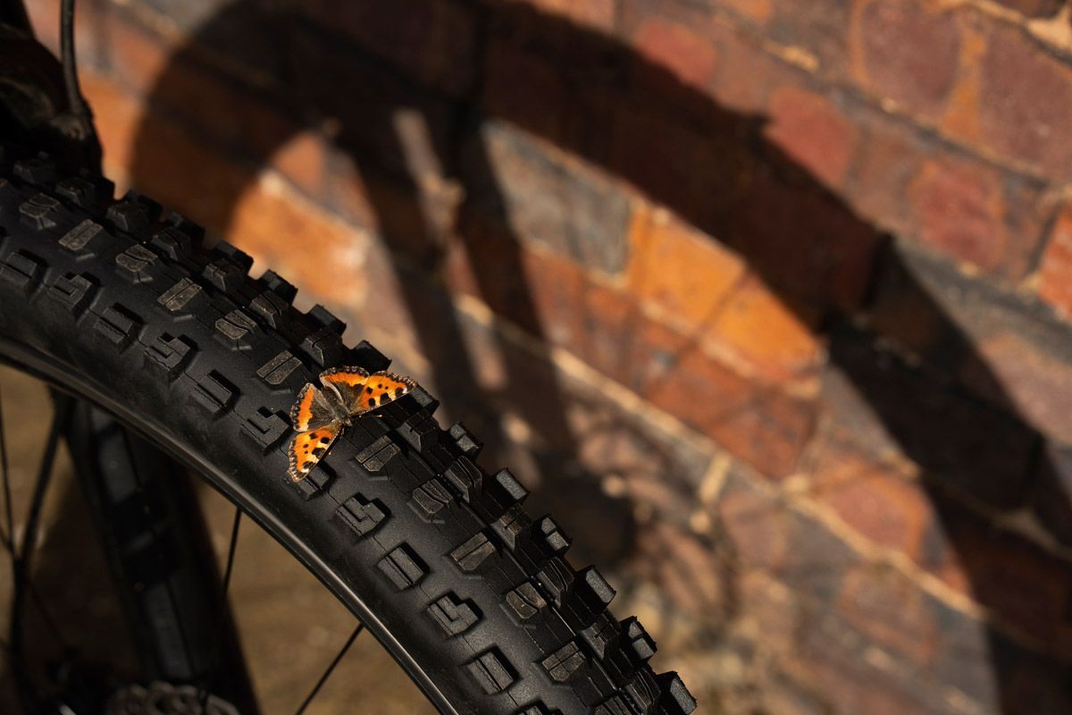 Bontrager presenta nuevos neumáticos XR5 bis