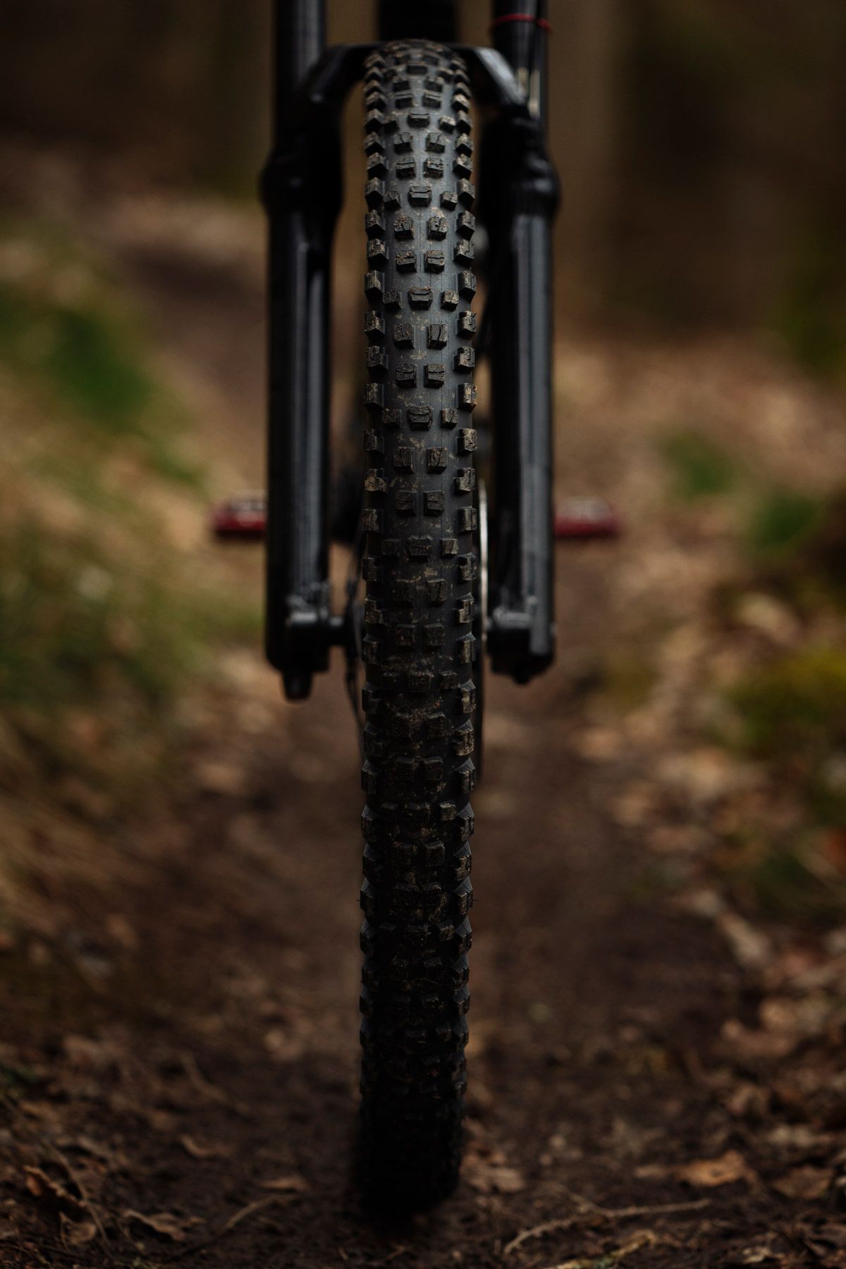 Bontrager presenta nuevos neumáticos SE 6 bis