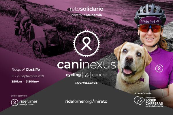 canvas600400web 6118e11b02086