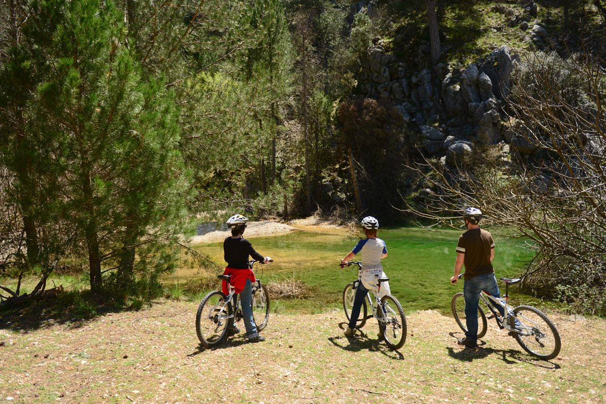 Andalucía. tu destino MTB. Bosques del Sur 3 Andalucía. tu destino MTB. Bosques del Sur 3