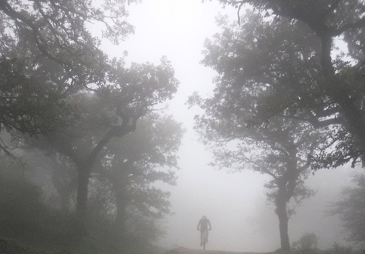 Andalucía. tu destino MTB. Centro BTT Alcornocales Andalucía. tu destino MTB. Centro BTT Alcornocales
