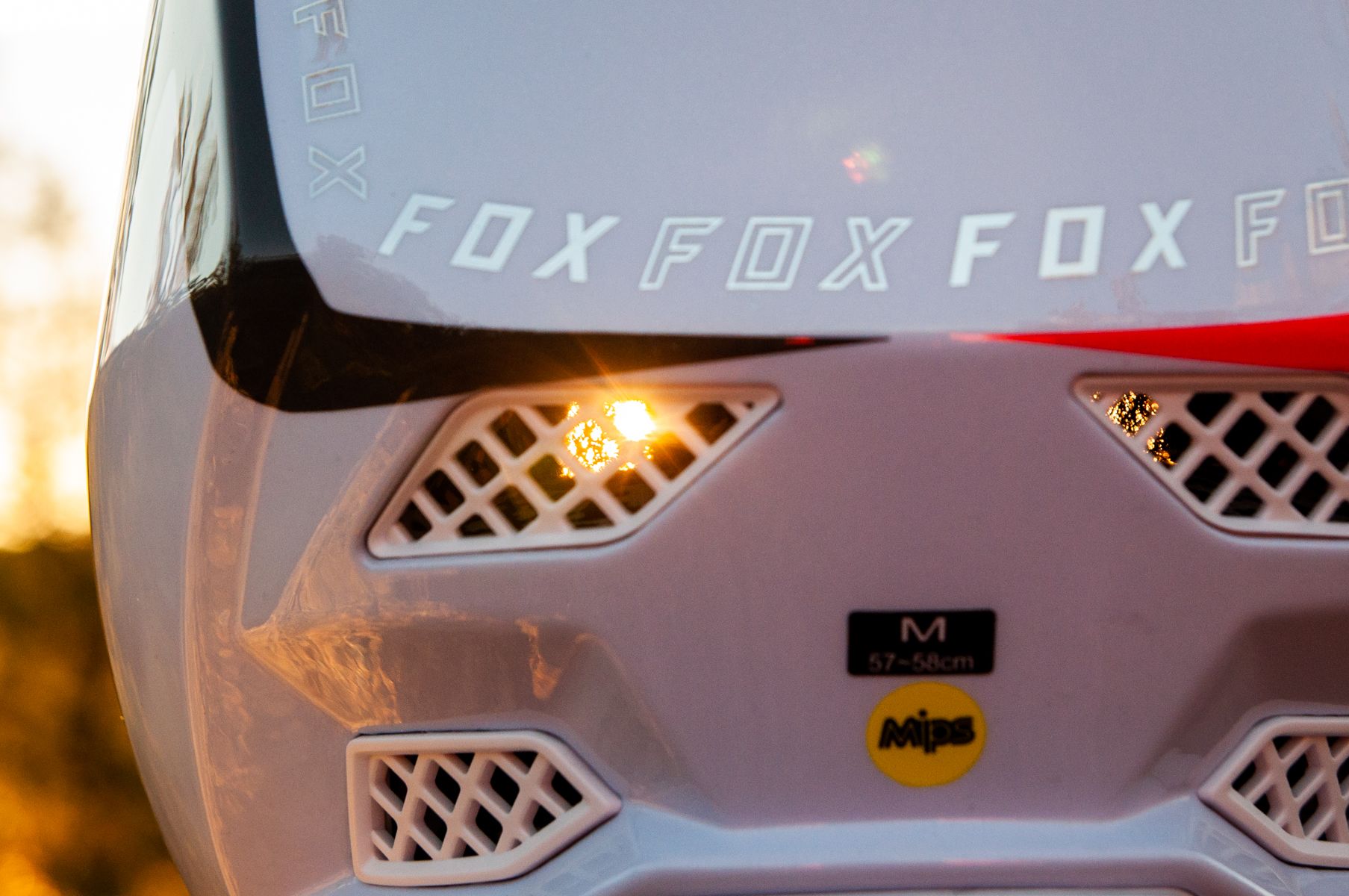 Fox Rampage Pro Carbon