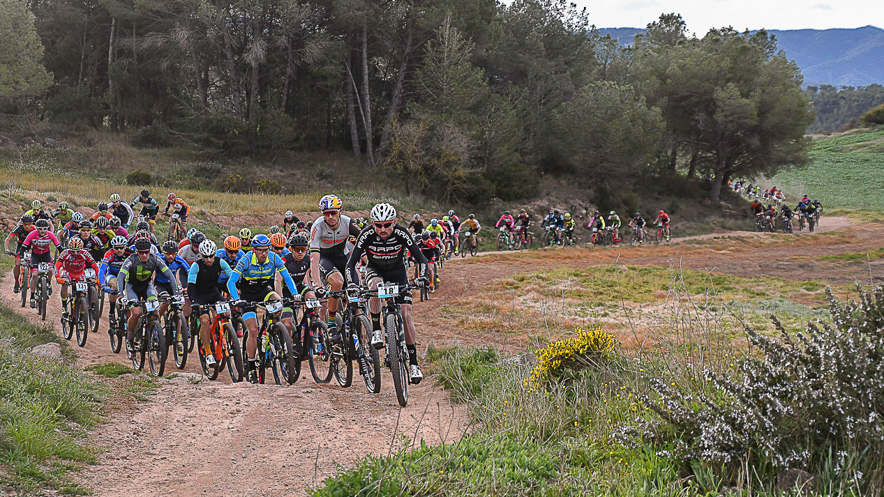 VolCat 2019. Más VolCat que nunca