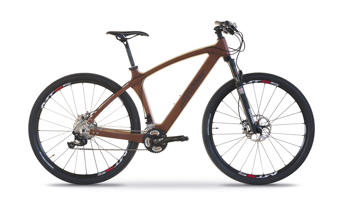 10 bicis MTB que vienen de los árboles