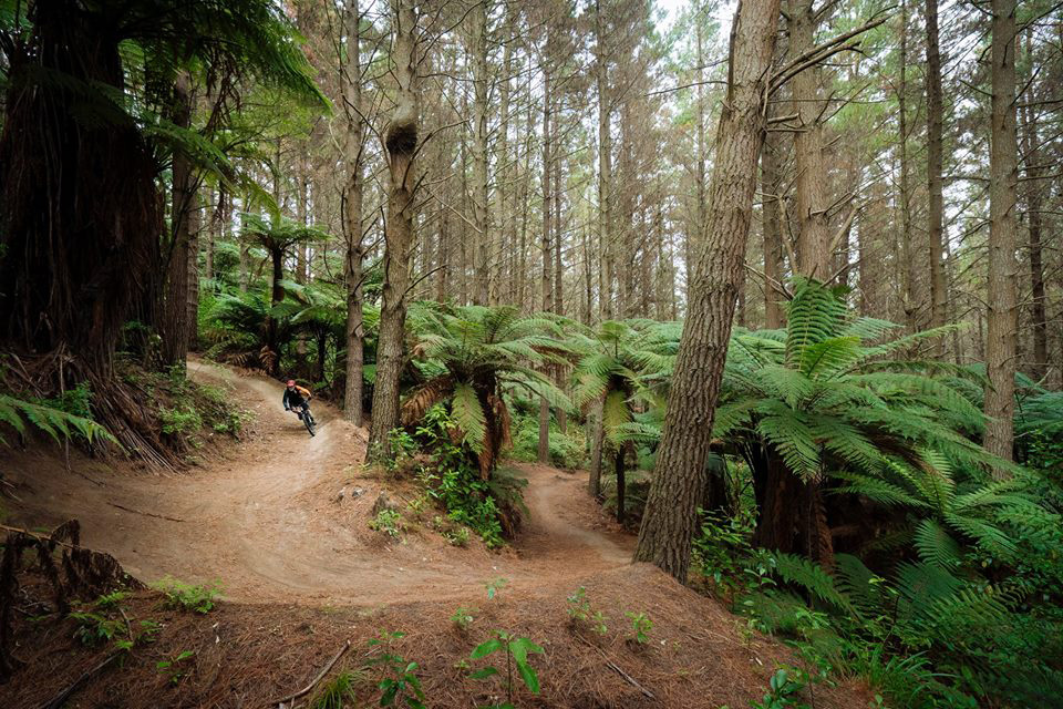 Enduro World Series 2019: Rotorua da comienzo