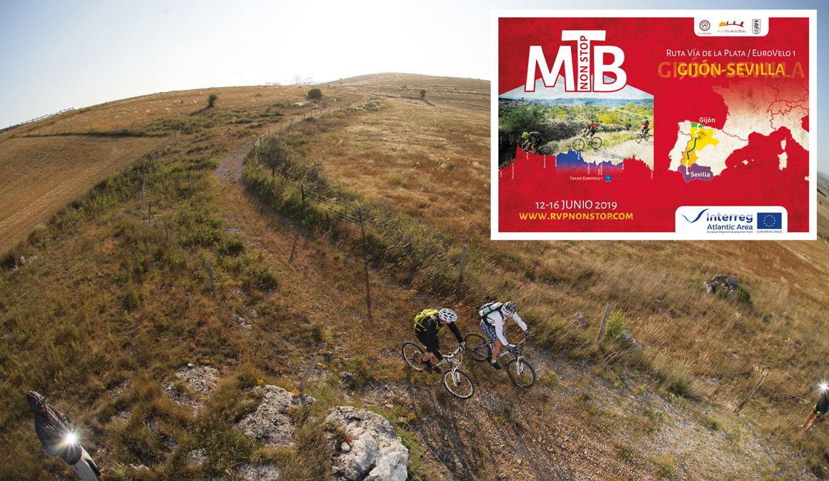 Top 10 MTB: ¿Cuándo hay que cambiar el neumático? 