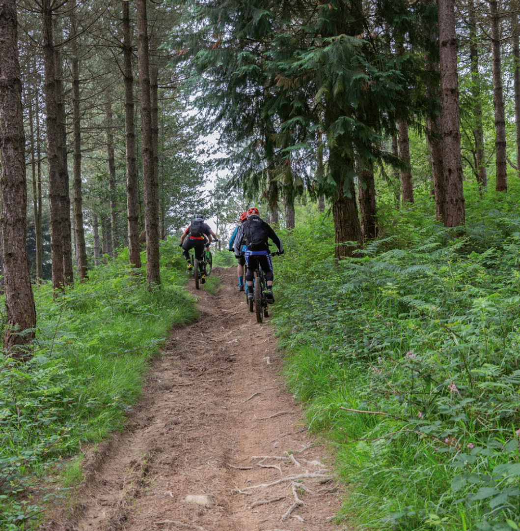 Ruta: Con la e-MTB por el Alto Deva 