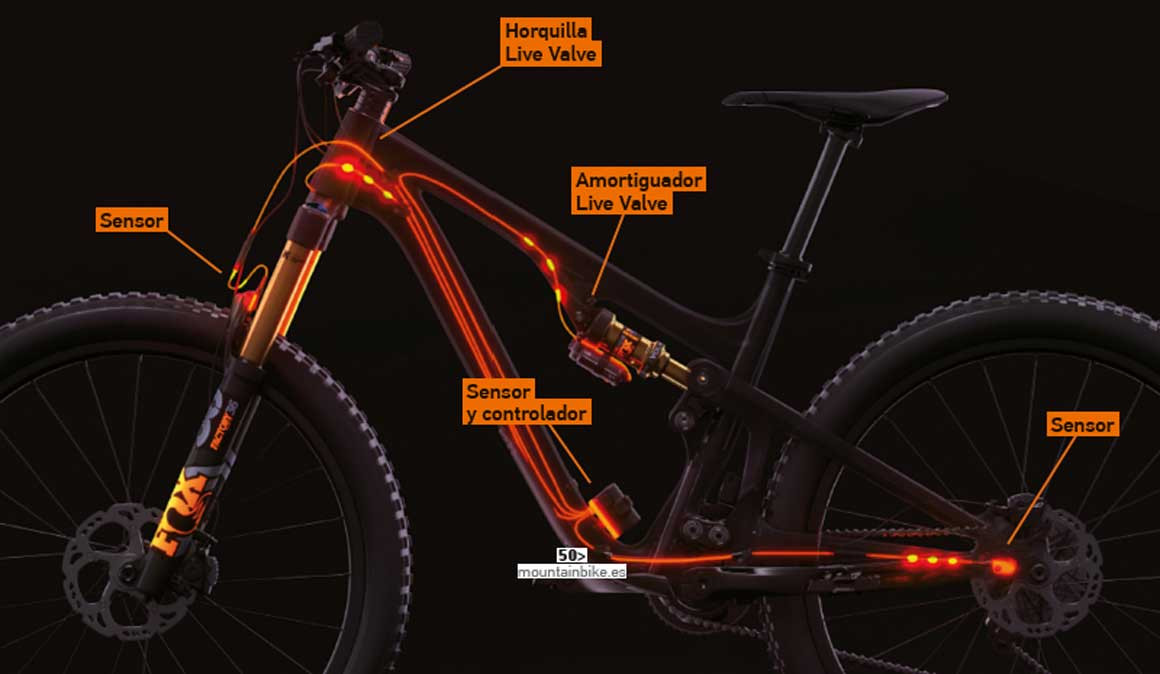 Top 10 MTB: 