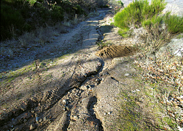 Cómo reparar caminos y senderos