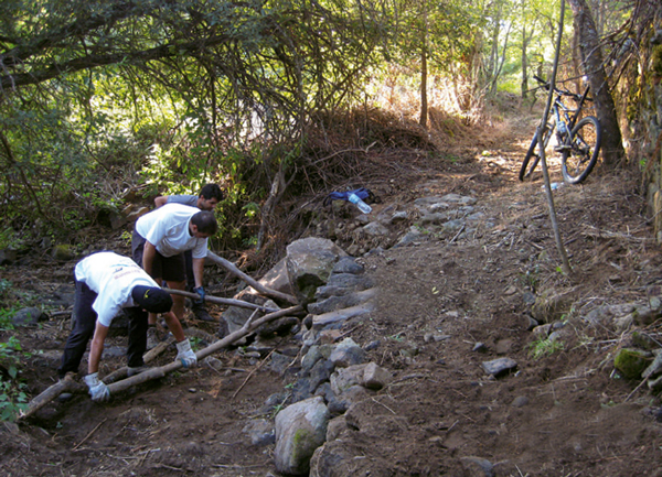 Cómo reparar caminos y senderos