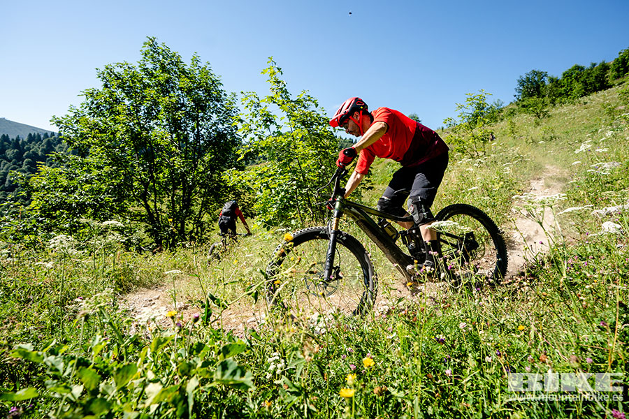 Nueva Giant Reign E   PRO 2020