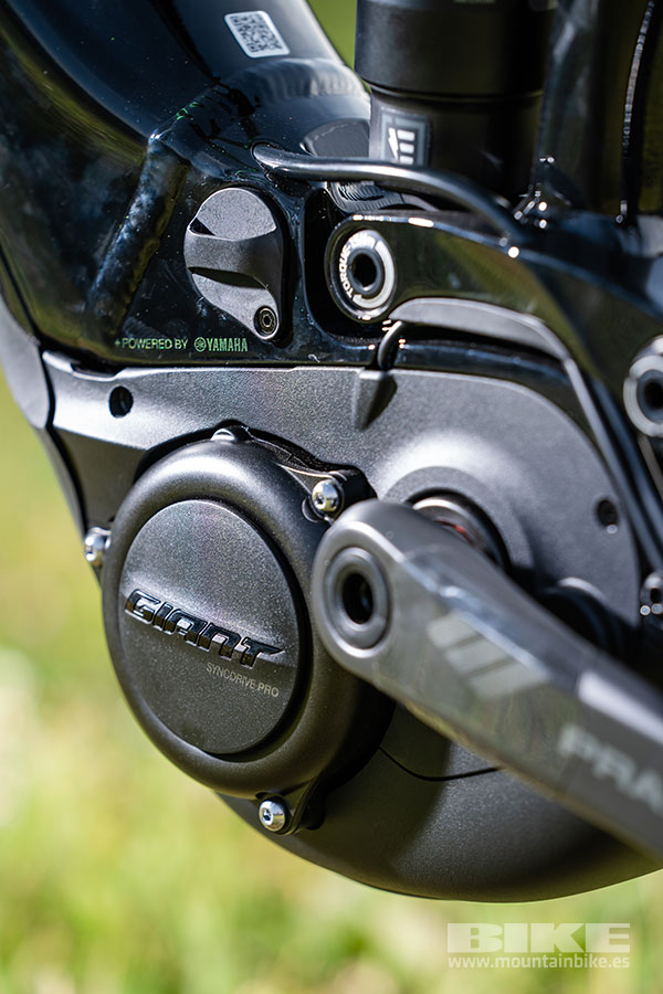 Nueva Giant Reign E   PRO 2020