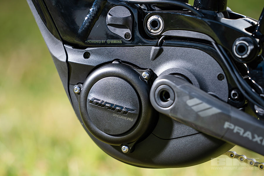Nueva Giant Reign E   PRO 2020
