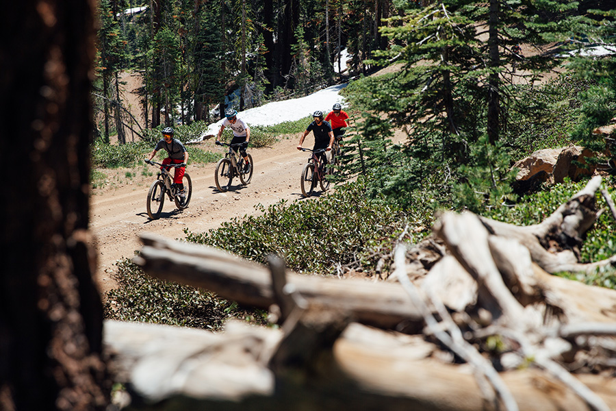 Specialized Enduro 2020