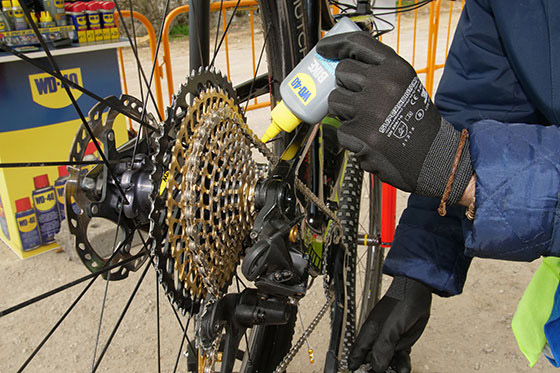 Festibike: servicios para el participante