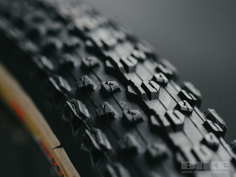 Neumáticos SkinWall: Maxxis Ikon 3C/EXO