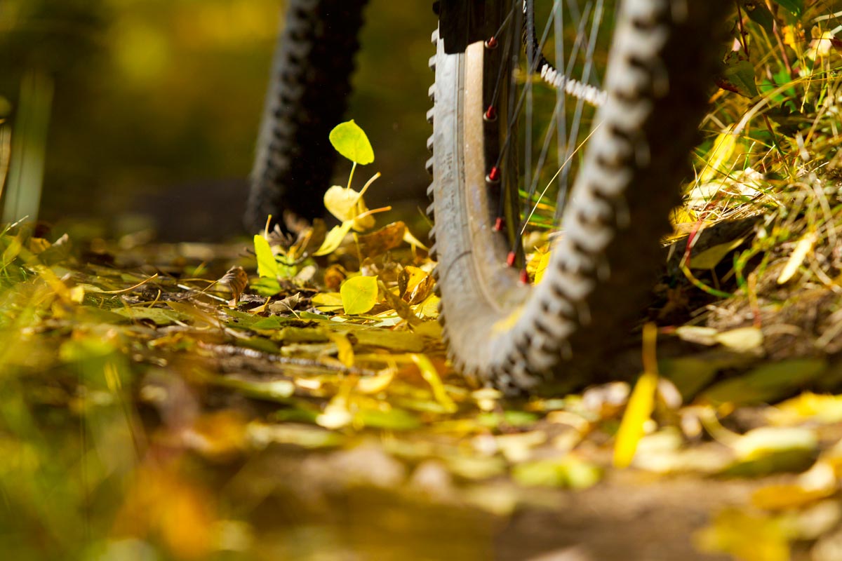 29 Carreras por etapas MTB 2020