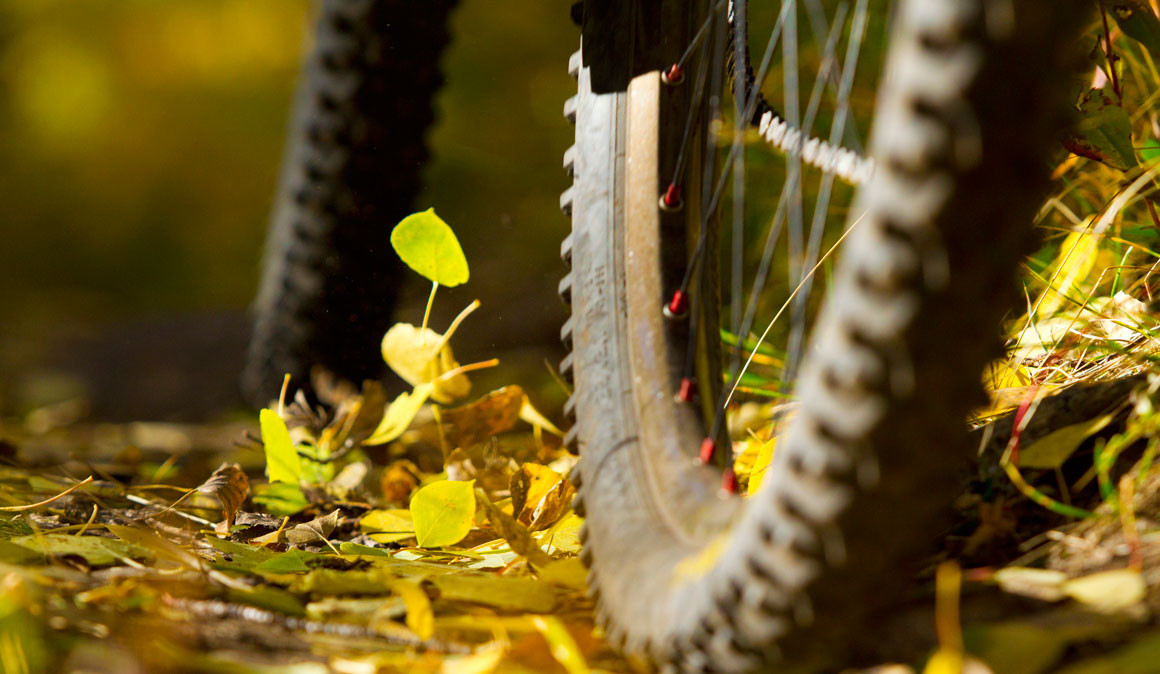 Top 10 MTB: ¿Se te clava el sillín?