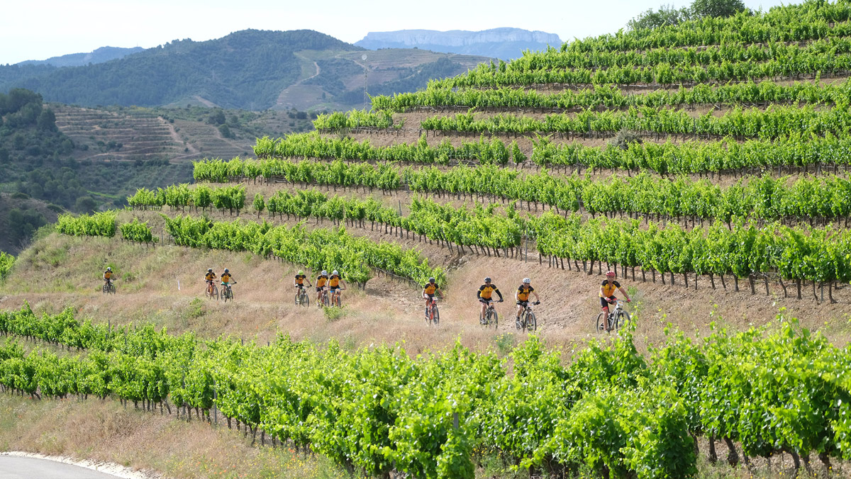 Mussara Priorat y Mussara Andorra: Últimos días de precio rebajado