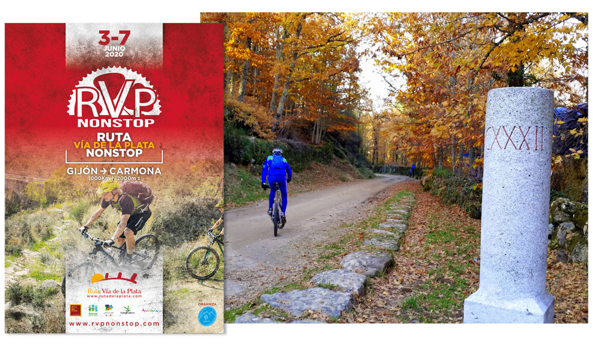 Top 10 MTB: ¿Cuál es la altura correcta del manillar?