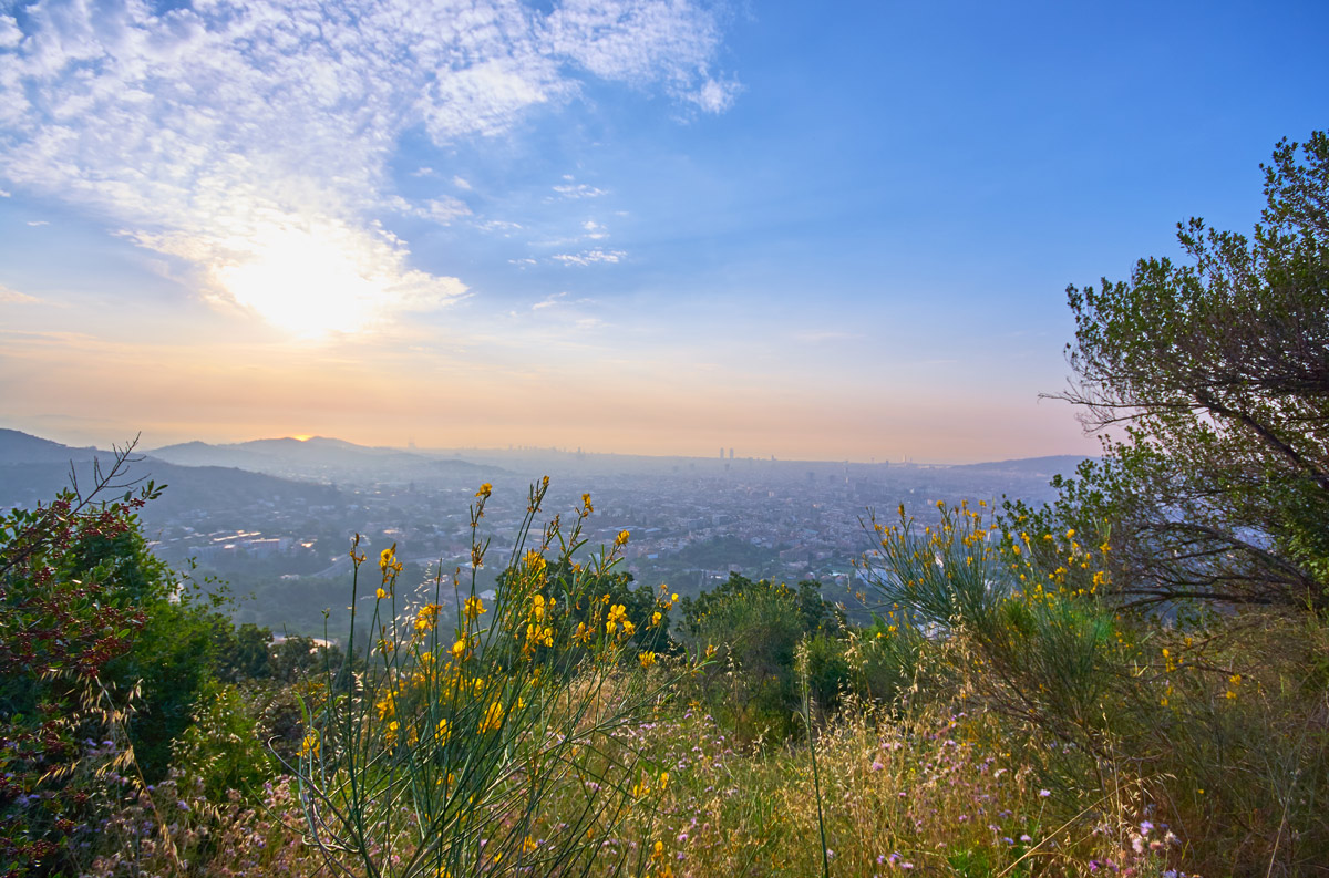 Collserola. Esta podría ser la solución