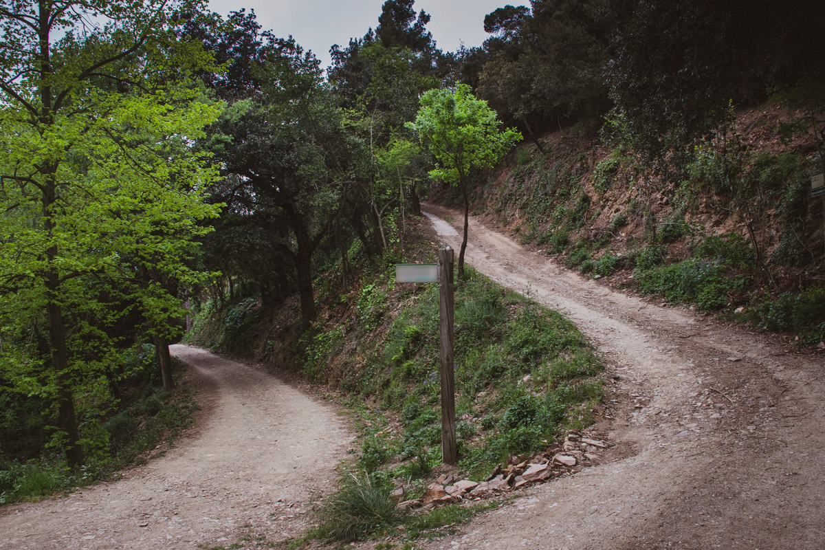 Collserola. Esta podría ser la solución