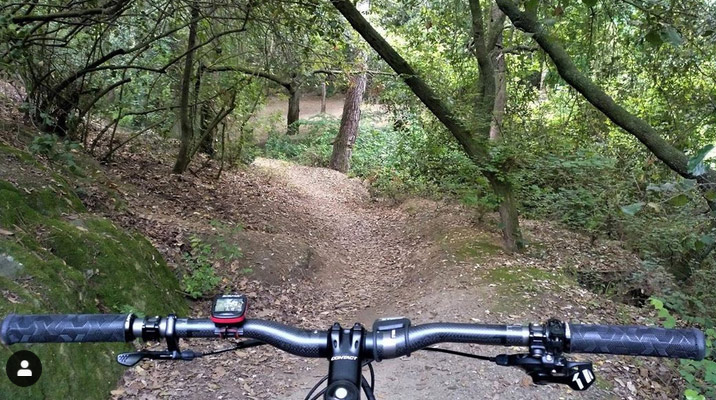 Collserola. Esta podría ser la solución