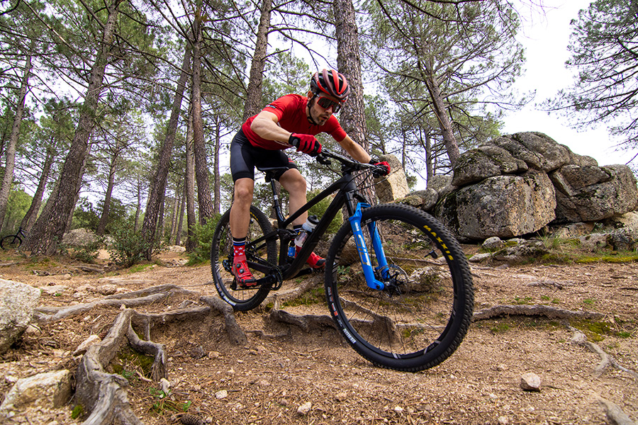 RockShox Sid SL, Sid y Sidluxe 2021