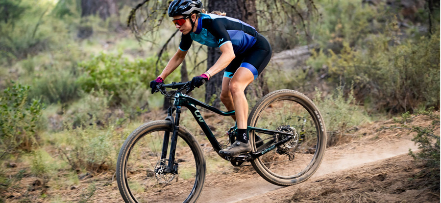 Bicis XC/XCM 2020: Liv Pique 29